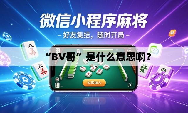 “BV哥”是什么意思啊？