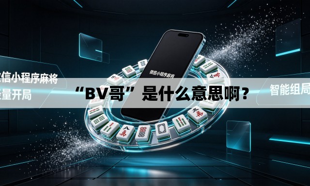 “BV哥	”是什么意思啊？