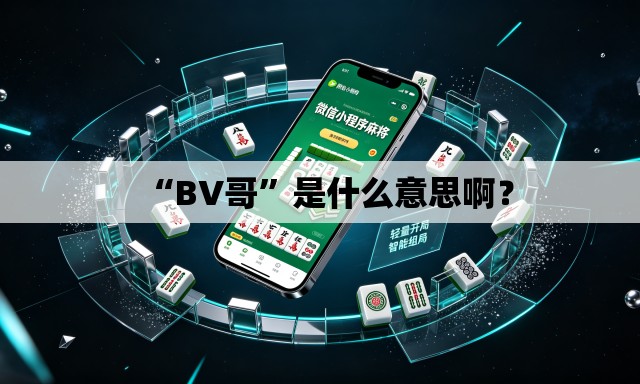 “BV哥”是什么意思啊？
