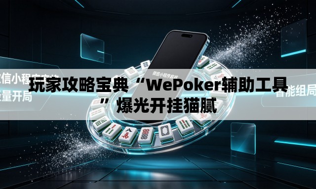 玩家攻略宝典“WePoker辅助工具”爆光开挂猫腻