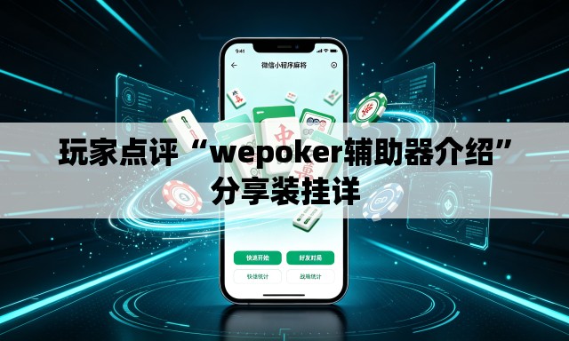 玩家点评“wepoker辅助器介绍”分享装挂详