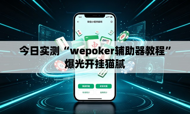 今日实测“wepoker辅助器教程”爆光开挂猫腻