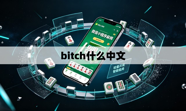 bitch什么中文 bitch什么中文