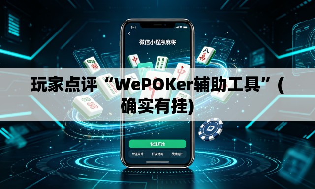 玩家点评“WePOKer辅助工具”(确实有挂)