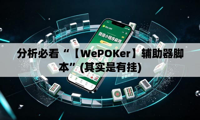 分析必看“【WePOKer】辅助器脚本	”(其实是有挂)