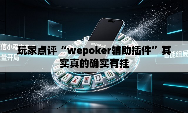 玩家点评“wepoker辅助插件”其实真的确实有挂
