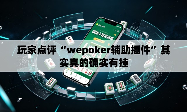 玩家点评“wepoker辅助插件”其实真的确实有挂