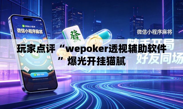 玩家点评“wepoker透视辅助软件”爆光开挂猫腻