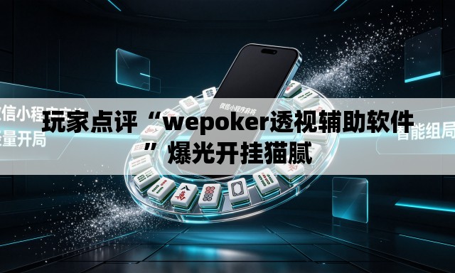 玩家点评“wepoker透视辅助软件”爆光开挂猫腻