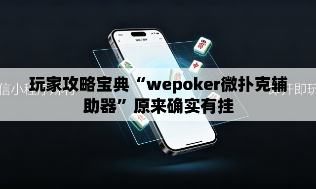 玩家攻略宝典“wepoker微扑克辅助器”原来确实有挂