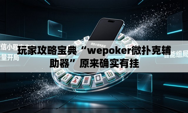 玩家攻略宝典“wepoker微扑克辅助器”原来确实有挂