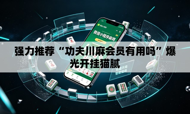 强力推荐“功夫川麻会员有用吗	”爆光开挂猫腻