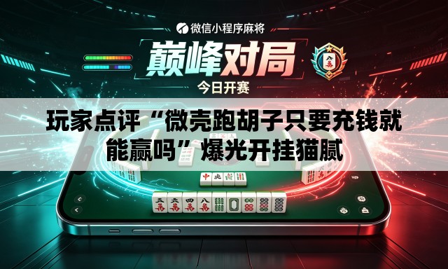 玩家点评“微壳跑胡子只要充钱就能赢吗	”爆光开挂猫腻