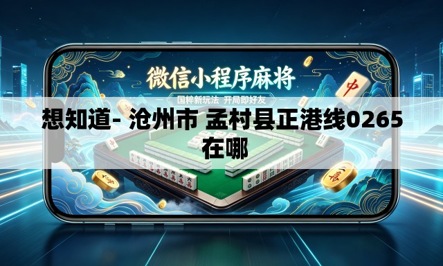 想知道- 沧州市 孟村县正港线0265 在哪
