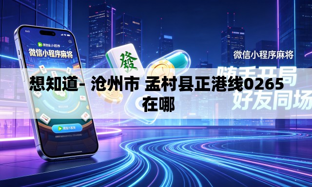想知道- 沧州市 孟村县正港线0265 在哪