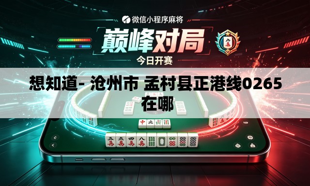 想知道- 沧州市 孟村县正港线0265 在哪
