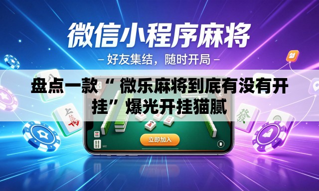 盘点一款“ 微乐麻将到底有没有开挂	”爆光开挂猫腻