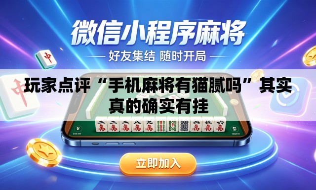 玩家点评“手机麻将有猫腻吗”其实真的确实有挂