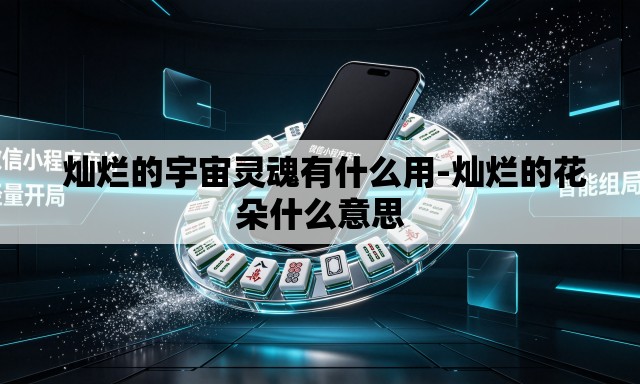  灿烂的宇宙灵魂有什么用-灿烂的花朵什么意思